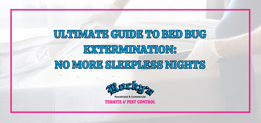 The Ultimate Guide to Bed Bug Extermination