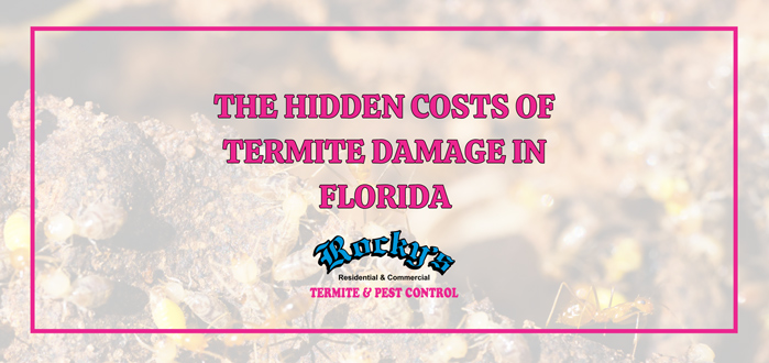 Hidden Costs of Termite Damage in Florida