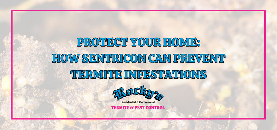 How Sentricon Can Prevent Termite Infestations