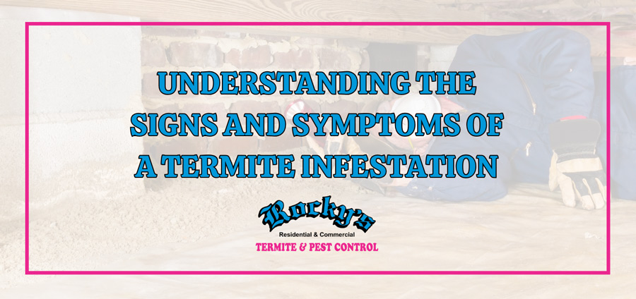 Understanding the Signs and Symptoms of an Infestation