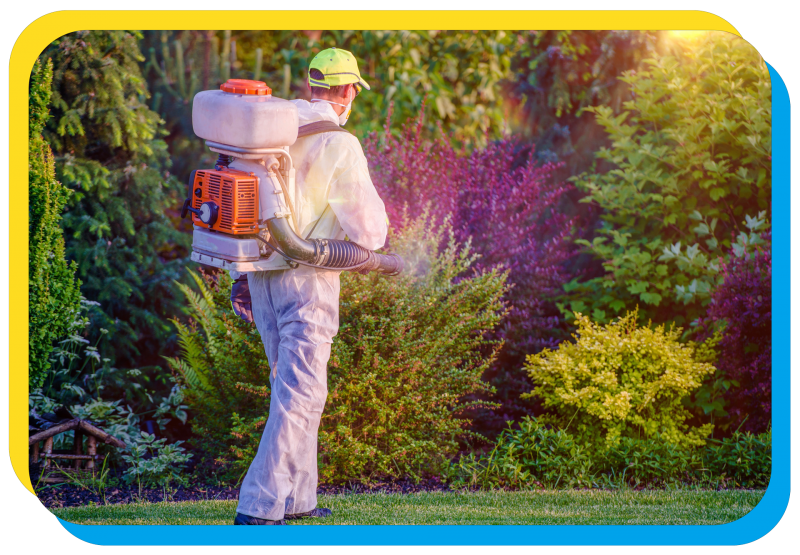 employee spraying bushes